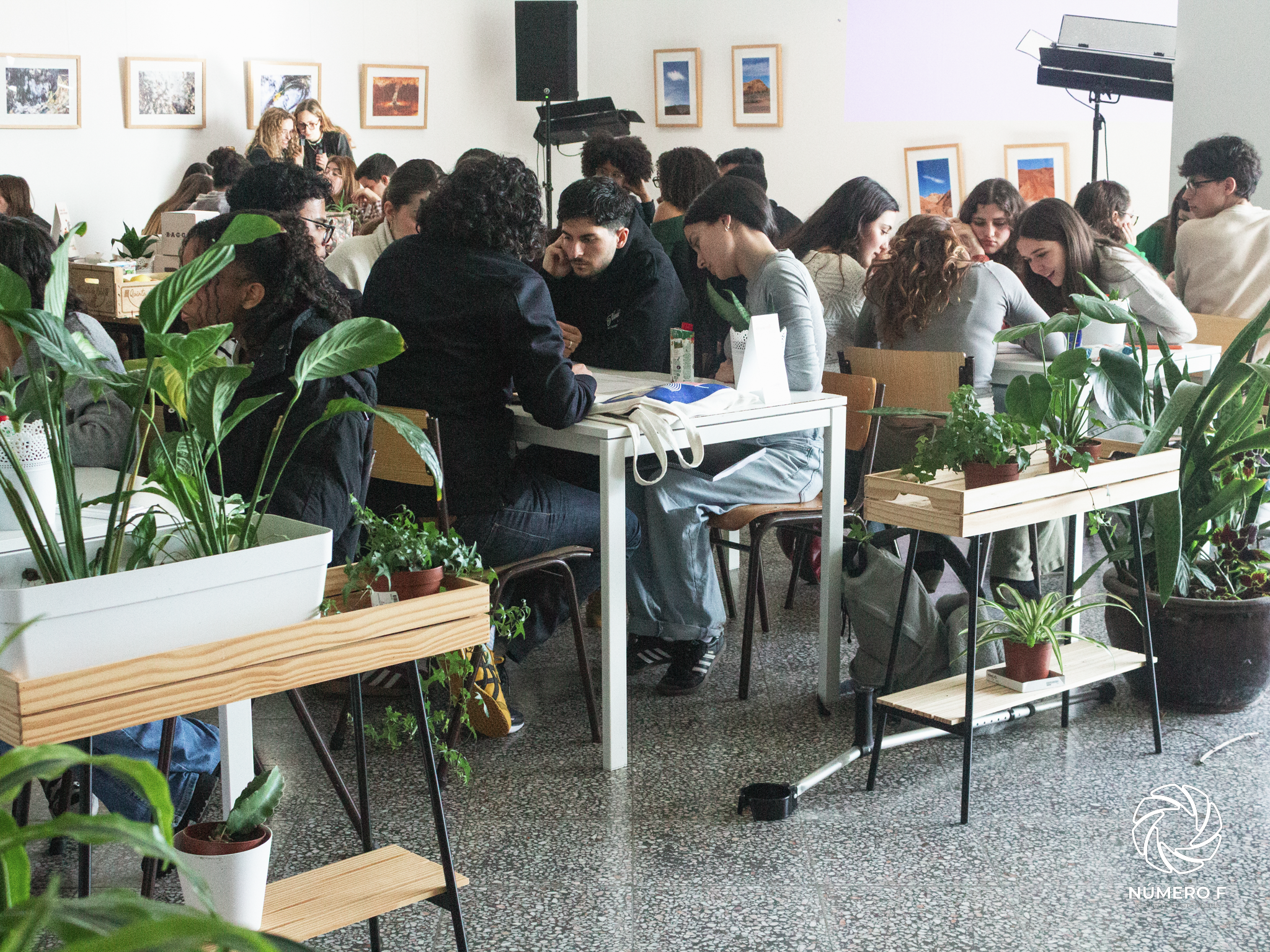 III Bootcamp